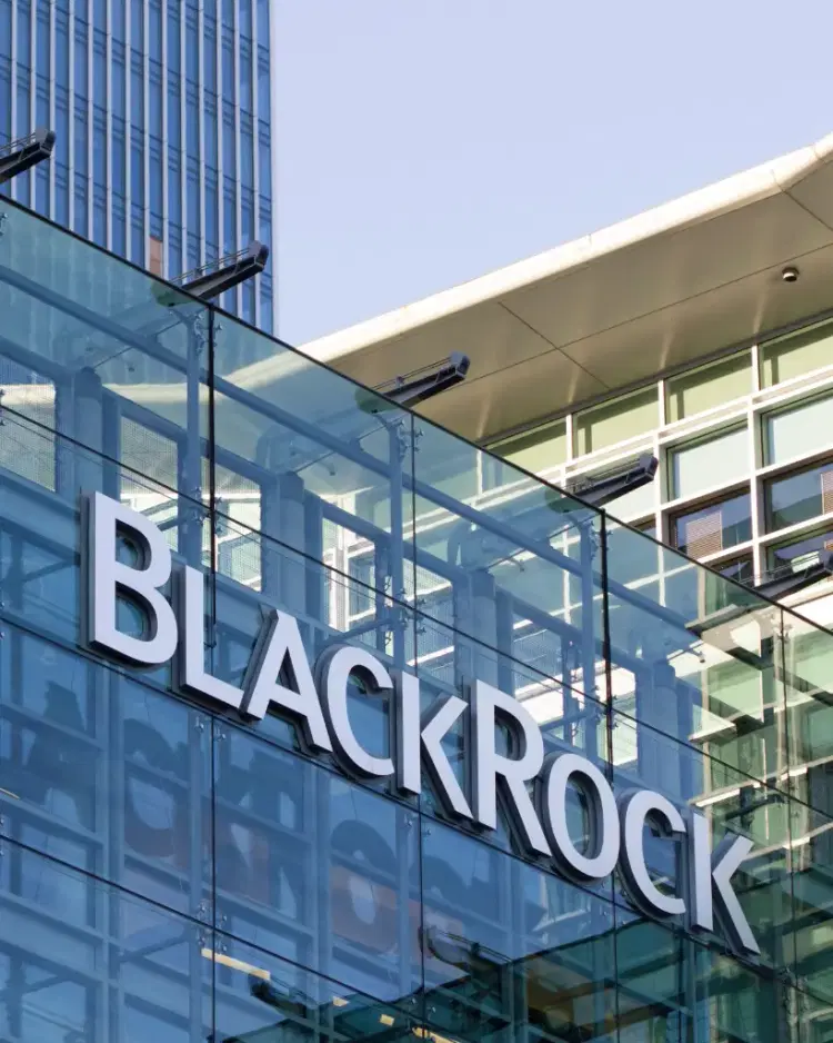 Here’s AI’s next explosive frontier for investors, according to BlackRock