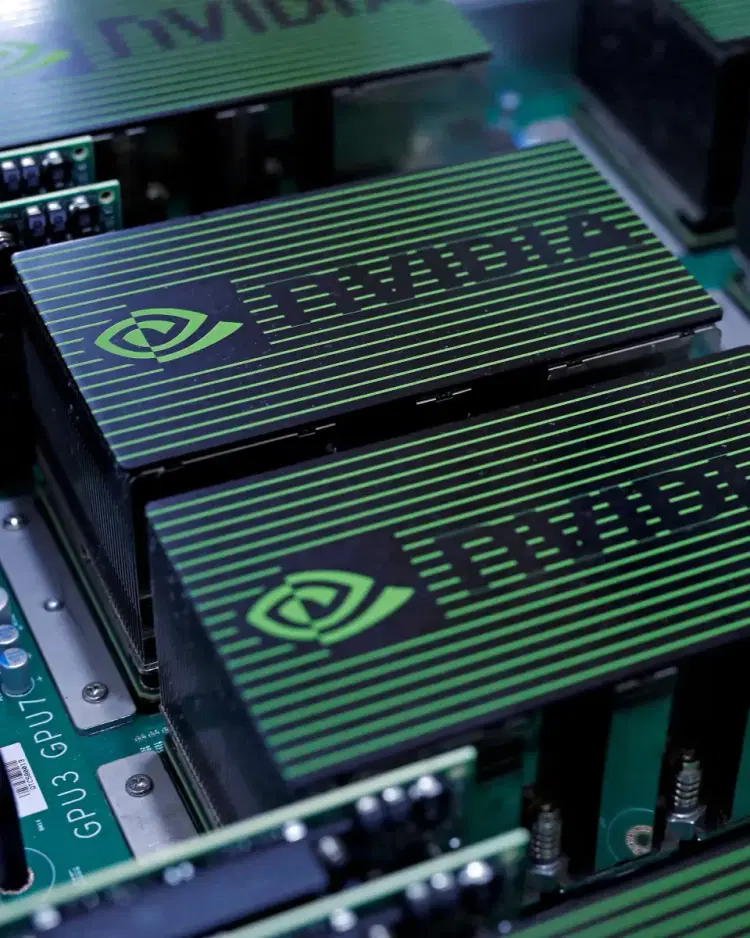 Big Tech Earnings Strength Is Bright Light in Murky Stock Market
